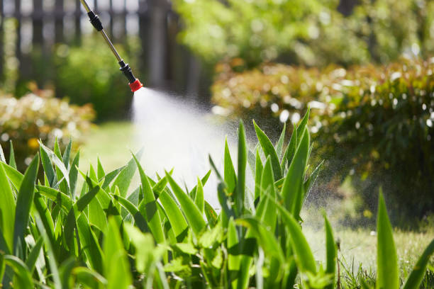 24/7 Emergency Mosquito Control experts in Graceville, FL